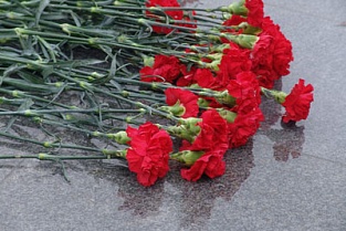 Какие цветы купить на похороны: правила по полу, религии, возрасту